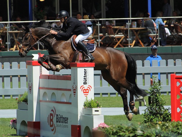 这些亮点在 这些亮点在