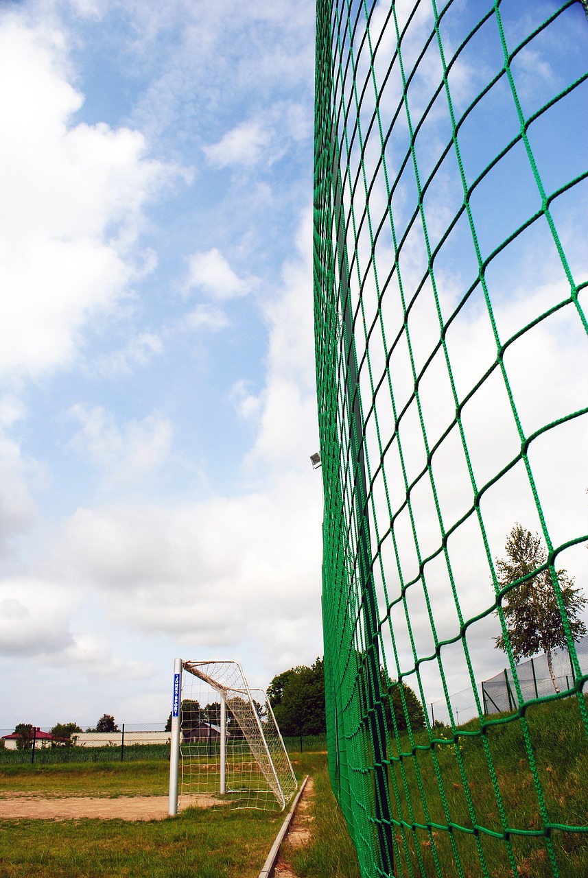 在整个比赛 在整个比赛