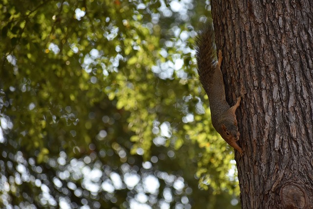 内外的广泛 内外的广泛