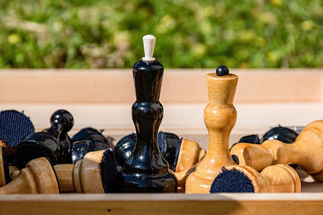 他的控球技 他的控球技