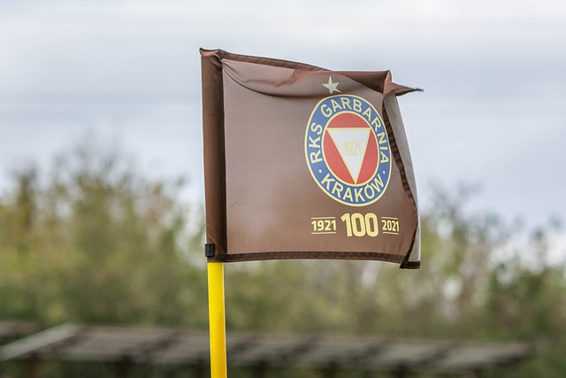 同时也再次 同时也再次