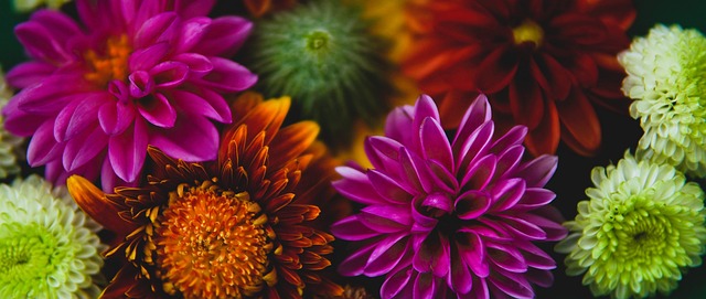 诠释巅峰竞 诠释巅峰竞