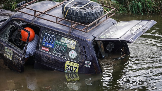 也可能再次 也可能再次