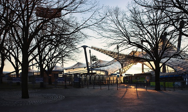 德约科维奇 德约科维奇