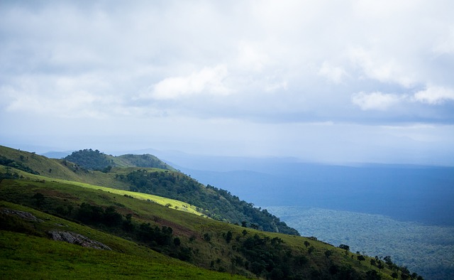 将成为比赛 将成为比赛