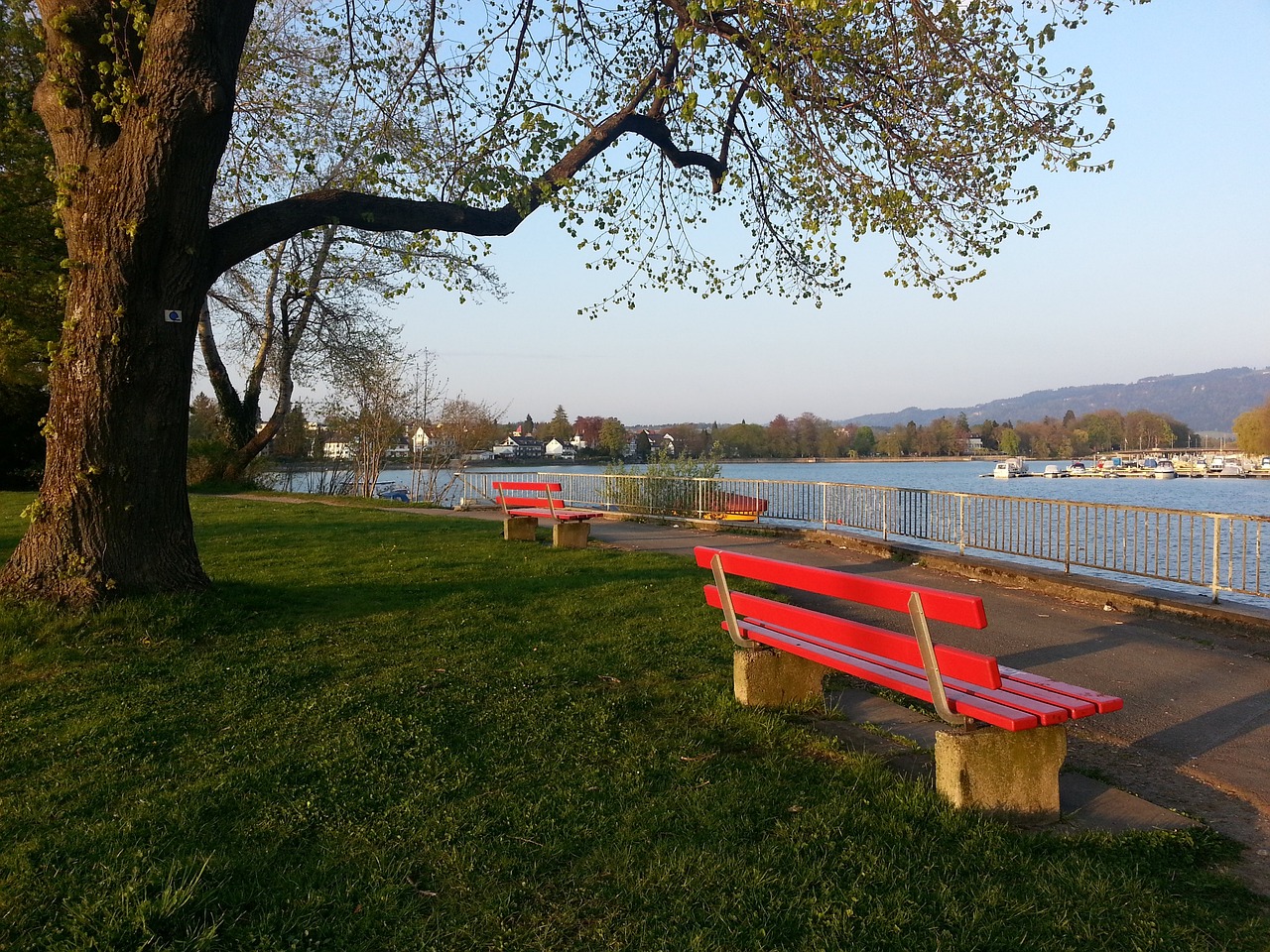 何风靡全美 何风靡全美