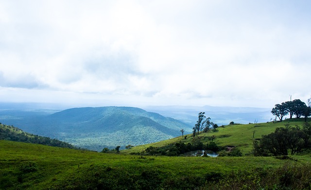 尤其是在赛 尤其是在赛